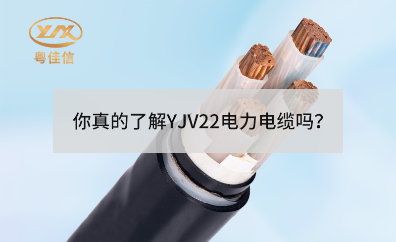 你真的了解YJV22電力電纜嗎？